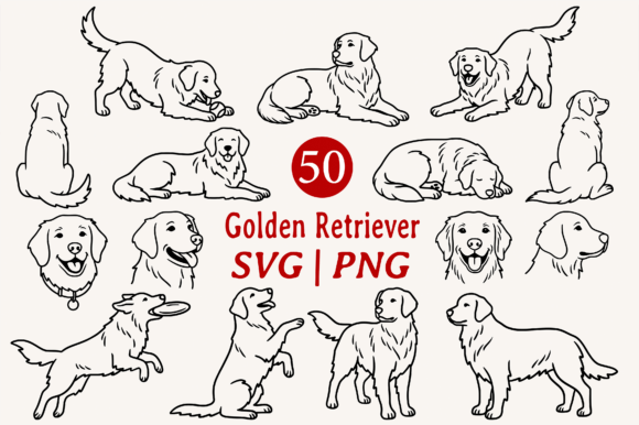 Create Adorable Dog Projects with Golden Retriever Doodles